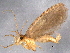  ( - BIOUG05511-C03)  @12 [ ] CreativeCommons - Attribution (2012) CBG Photography Group Centre for Biodiversity Genomics