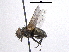  ( - BIOUG05518-B12)  @13 [ ] CreativeCommons - Attribution (2012) CBG Photography Group Centre for Biodiversity Genomics