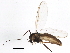  ( - BIOUG05536-C11)  @14 [ ] CreativeCommons - Attribution (2013) CBG Photography Group Centre for Biodiversity Genomics