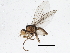  ( - BIOUG05536-G07)  @12 [ ] CreativeCommons - Attribution (2013) CBG Photography Group Centre for Biodiversity Genomics