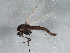  ( - BIOUG05538-H11)  @12 [ ] CreativeCommons - Attribution (2013) CBG Photography Group Centre for Biodiversity Genomics