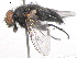  ( - BIOUG05549-H10)  @14 [ ] CreativeCommons - Attribution (2012) CBG Photography Group Centre for Biodiversity Genomics