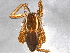  ( - BIOUG05577-H07)  @12 [ ] CreativeCommons - Attribution (2012) CBG Photography Group Centre for Biodiversity Genomics