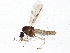  ( - BIOUG05593-E04)  @13 [ ] CreativeCommons - Attribution (2013) CBG Photography Group Centre for Biodiversity Genomics