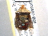  ( - BIOUG05607-B01)  @14 [ ] CreativeCommons - Attribution (2012) CBG Photography Group Centre for Biodiversity Genomics
