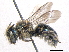  ( - BIOUG05607-C07)  @14 [ ] CreativeCommons - Attribution (2012) CBG Photography Group Centre for Biodiversity Genomics