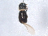  ( - BIOUG05612-C12)  @13 [ ] CreativeCommons - Attribution (2012) CBG Photography Group Centre for Biodiversity Genomics