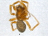  ( - BIOUG05612-H11)  @12 [ ] CreativeCommons - Attribution (2012) CBG Photography Group Centre for Biodiversity Genomics