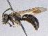  ( - BIOUG05619-C11)  @13 [ ] CreativeCommons - Attribution (2012) CBG Photography Group Centre for Biodiversity Genomics
