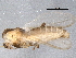  ( - BIOUG05633-H05)  @13 [ ] CreativeCommons - Attribution (2012) CBG Photography Group Centre for Biodiversity Genomics