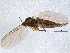  ( - BIOUG05634-G11)  @12 [ ] CreativeCommons - Attribution (2012) CBG Photography Group Centre for Biodiversity Genomics