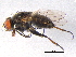  ( - BIOUG05653-C10)  @13 [ ] CreativeCommons - Attribution (2012) CBG Photography Group Centre for Biodiversity Genomics