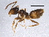  ( - BIOUG05654-B04)  @15 [ ] CreativeCommons - Attribution (2012) CBG Photography Group Centre for Biodiversity Genomics