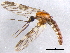  ( - BIOUG05662-B06)  @11 [ ] CreativeCommons - Attribution (2012) CBG Photography Group Centre for Biodiversity Genomics