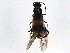  ( - BIOUG05672-A12)  @13 [ ] CreativeCommons - Attribution (2013) CBG Photography Group Centre for Biodiversity Genomics