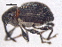  ( - BIOUG05686-H05)  @13 [ ] CreativeCommons - Attribution (2012) CBG Photography Group Centre for Biodiversity Genomics
