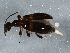  ( - BIOUG05699-H02)  @13 [ ] CreativeCommons - Attribution (2013) CBG Photography Group Centre for Biodiversity Genomics