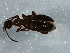  ( - BIOUG05699-H04)  @13 [ ] CreativeCommons - Attribution (2013) CBG Photography Group Centre for Biodiversity Genomics