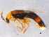  ( - BIOUG05701-C08)  @11 [ ] CreativeCommons - Attribution (2012) CBG Photography Group Centre for Biodiversity Genomics