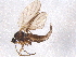  ( - BIOUG05704-H10)  @12 [ ] CreativeCommons - Attribution (2012) CBG Photography Group Centre for Biodiversity Genomics