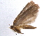  ( - BIOUG05707-D02)  @12 [ ] CreativeCommons - Attribution (2012) CBG Photography Group Centre for Biodiversity Genomics