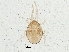  ( - BIOUG05718-B04)  @14 [ ] CreativeCommons - Attribution (2013) CBG Photography Group Centre for Biodiversity Genomics