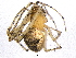 ( - BIOUG05724-G07)  @13 [ ] CreativeCommons - Attribution (2012) CBG Photography Group Centre for Biodiversity Genomics