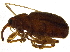  ( - BIOUG08371-G01)  @13 [ ] CreativeCommons - Attribution (2013) CBG Photography Group Centre for Biodiversity Genomics