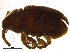  ( - BIOUG08375-D05)  @13 [ ] CreativeCommons - Attribution (2013) CBG Photography Group Centre for Biodiversity Genomics