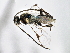  ( - BIOUG08647-G07)  @13 [ ] CreativeCommons - Attribution (2014) CBG Photography Group Centre for Biodiversity Genomics