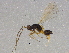 ( - BIOUG08665-B08)  @13 [ ] CreativeCommons - Attribution (2013) CBG Photography Group Centre for Biodiversity Genomics