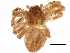  ( - BIOUG13129-A06)  @14 [ ] CreativeCommons - Attribution (2014) CBG Photography Group Centre for Biodiversity Genomics
