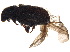 ( - BIOUG22058-D02)  @13 [ ] CreativeCommons - Attribution (2015) CBG Photography Group Centre for Biodiversity Genomics