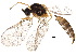  ( - BIOUG22061-H02)  @13 [ ] CreativeCommons - Attribution (2015) CBG Photography Group Centre for Biodiversity Genomics