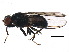  ( - BIOUG22063-A08)  @14 [ ] CreativeCommons - Attribution (2015) CBG Photography Group Centre for Biodiversity Genomics