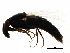  ( - BIOUG25556-G04)  @13 [ ] CreativeCommons - Attribution (2015) CBG Photography Group Centre for Biodiversity Genomics