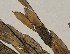  ( - SFB113)  @11 [ ] C (2024) Sudhir Diwase paul hebert cenytre for DNA Barcoding and Biodiversity Studie