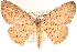  ( - BIOUG10947-H02)  @11 [ ] CreativeCommons - Attribution (2014) CBG Photography Group Centre for Biodiversity Genomics
