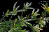  ( - SanguinettiA0173)  @11 [ ] CreativeCommons - Attribution Non-Commercial No Derivatives (2017) Agustín Sanguinetti Agustín Sanguinetti