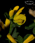  ( - SanguinettiA0173)  @11 [ ] CreativeCommons - Attribution Non-Commercial No Derivatives (2017) Agustín Sanguinetti Agustín Sanguinetti