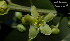  ( - SanguinettiA0154)  @11 [ ] CreativeCommons - Attribution Non-Commercial No Derivatives (2017) Agustín Sanguinetti Agustín Sanguinetti