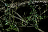  ( - SanguinettiA0248)  @11 [ ] CreativeCommons - Attribution Non-Commercial No Derivatives (2017) Agustín Sanguinetti Agustín Sanguinetti