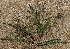  ( - SanguinettiA0356)  @11 [ ] CreativeCommons - Attribution Non-Commercial No Derivatives (2017) Agustín Sanguinetti Agustín Sanguinetti