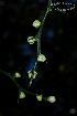  ( - SanguinettiA0153)  @11 [ ] CreativeCommons - Attribution Non-Commercial No Derivatives (2017) Agustín Sanguinetti Agustín Sanguinetti