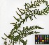  (Blechnum hastatum - SanguinettiA0355)  @11 [ ] Copyright (2019) Unspecified Universidad de Buenos Aires, Facultad de Ciencias Exactas y Naturales
