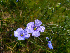  ( - SNMP181)  @11 [ ] CreativeCommons  Attribution Non-Commercial Share-Alike (2020) Eliska Stubnova Gburova Slovak National Museum-Natural History Museum