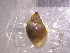  ( - 22-SNAIL-0178)  @11 [ ] CreativeCommons - Attribution Share-Alike (2023) Unspecified Drexel University, Academy of Natural Sciences