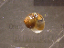  ( - 22-SNAIL-0329)  @11 [ ] CreativeCommons - Attribution Share-Alike (2023) Unspecified Drexel University, Academy of Natural Sciences