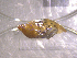  ( - 22-SNAIL-0458)  @11 [ ] CreativeCommons - Attribution Share-Alike (2023) Unspecified Drexel University, Academy of Natural Sciences