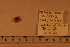  ( - 06_606_E)  @11 [ ] CreativeCommons - Attribution Non-Commercial Share-Alike (2012) CreativeCommons - Attribution Non-Commercial Share-Alike MNHN